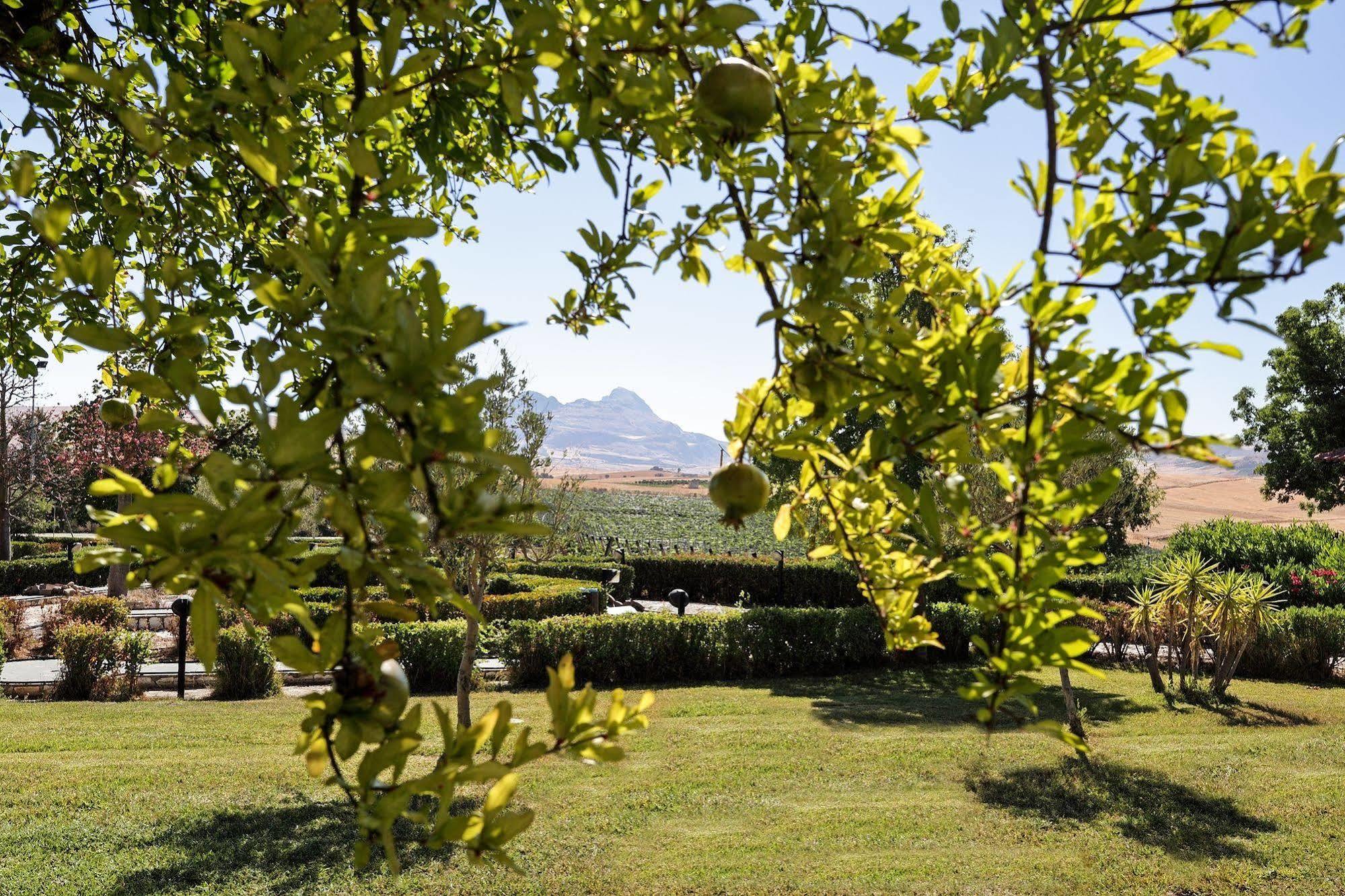 Agriturismo Tenute Pollara Roccamena Exteriér fotografie